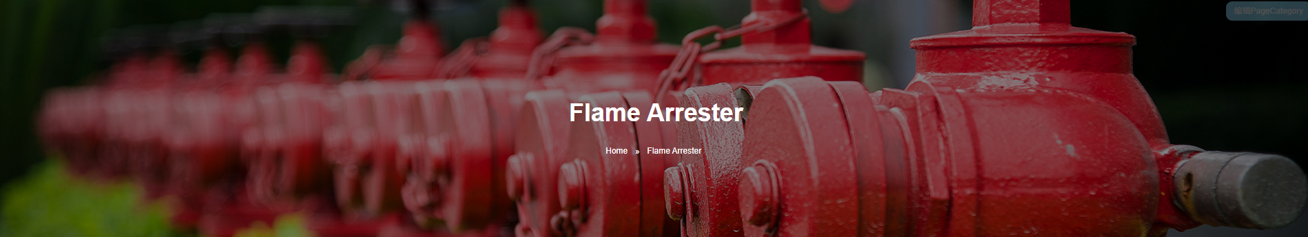 Flame Arrester Banner